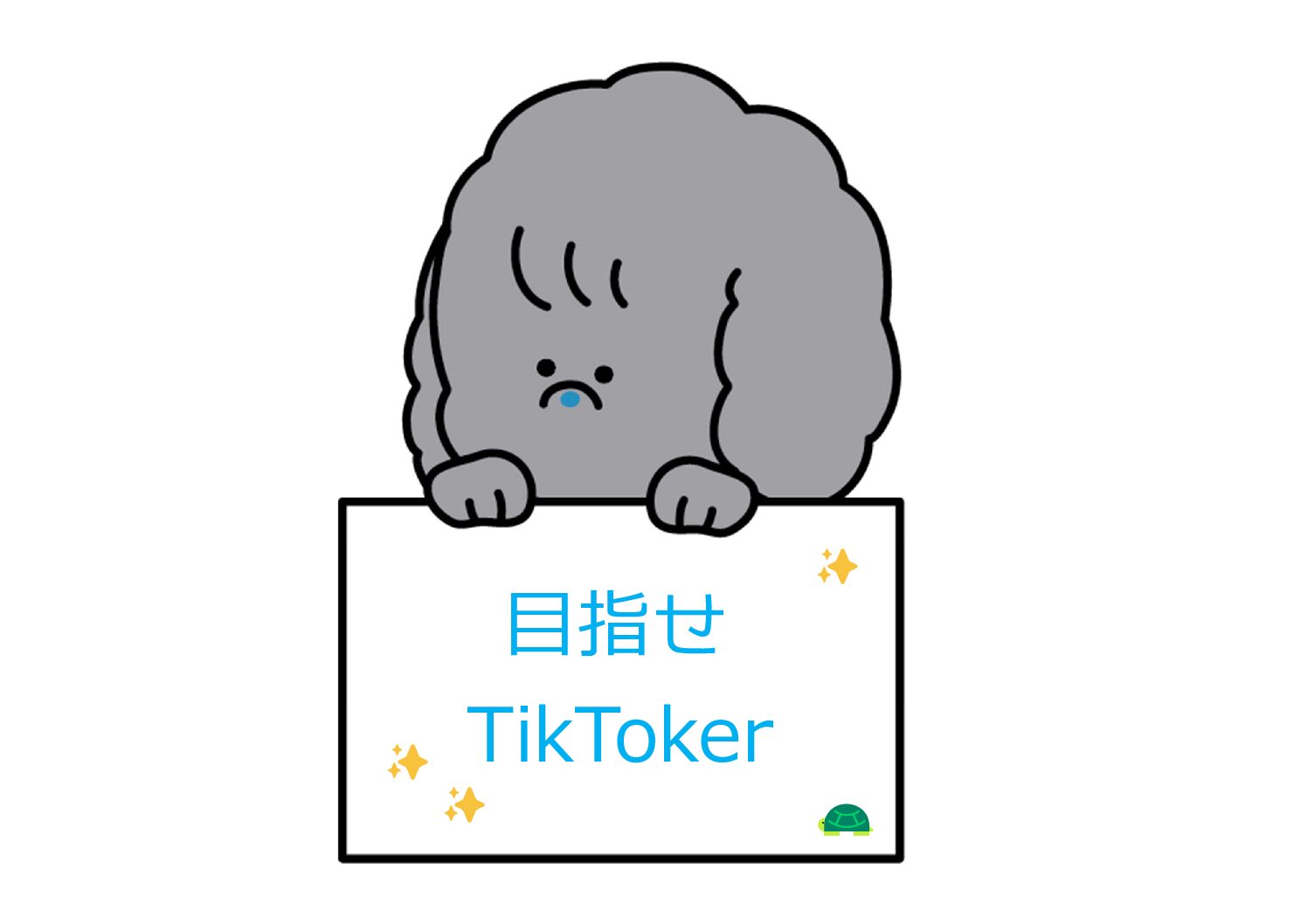 🐕️🐢TikTok開設しました🐤