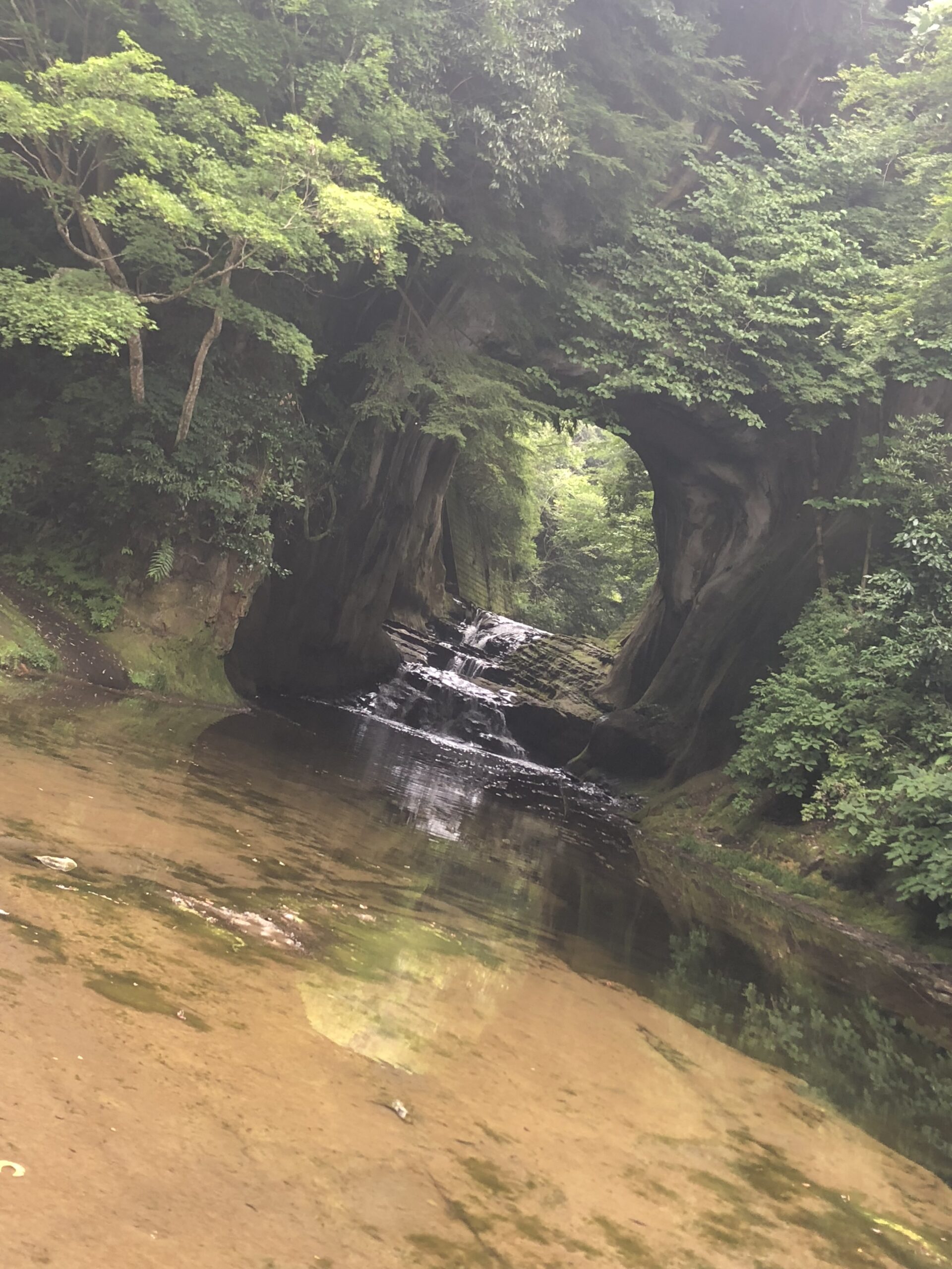 🌳自然を感じました🌳