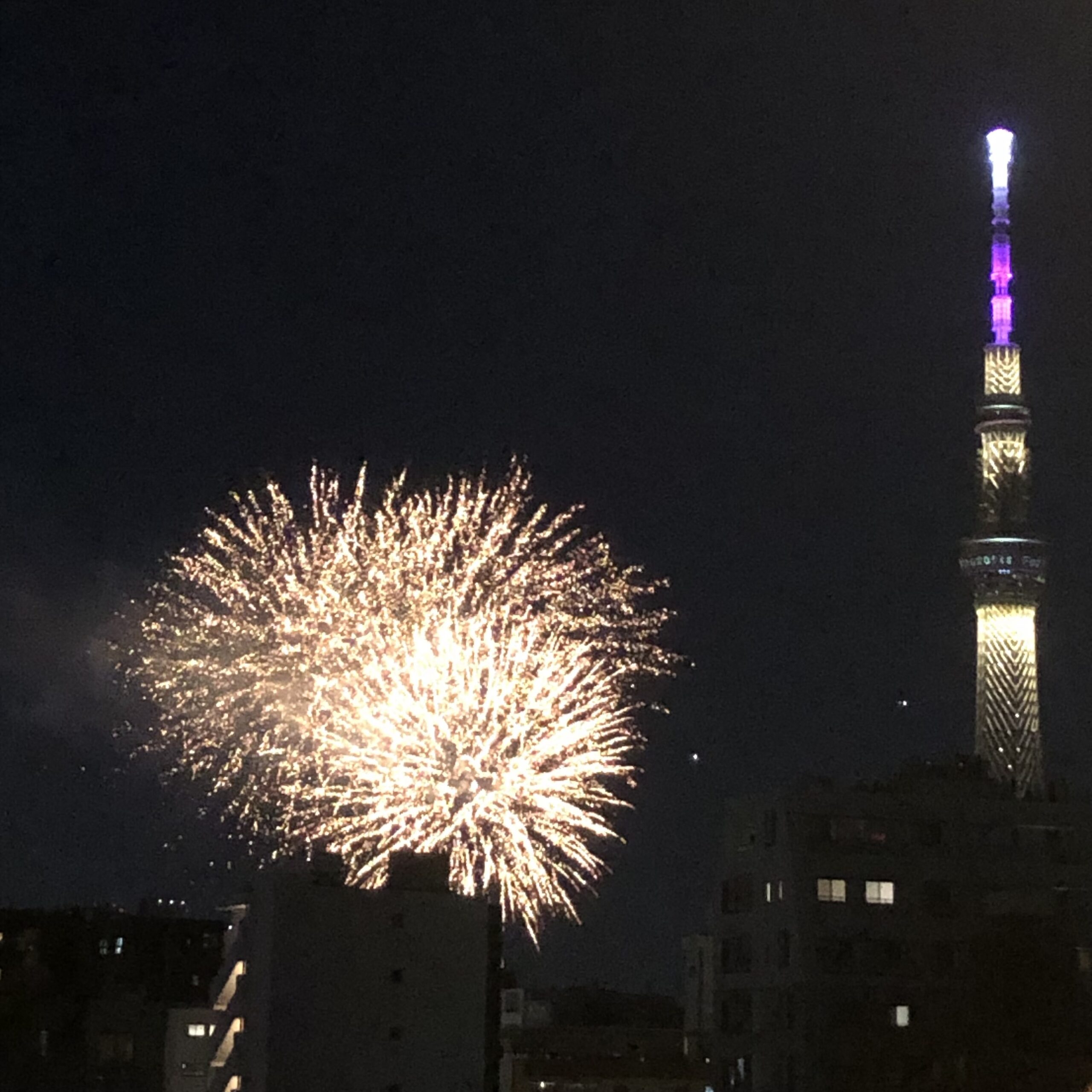 夏といえば…🎆