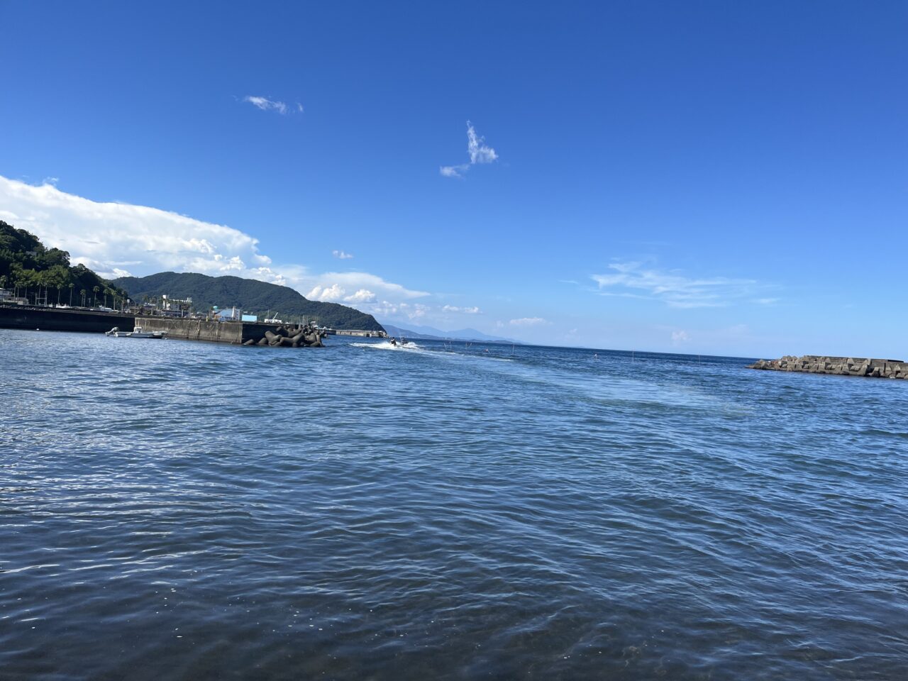 ðã¯ãŒã¯ã©ã€ããã©ã³ã¹ã倧åã«ð