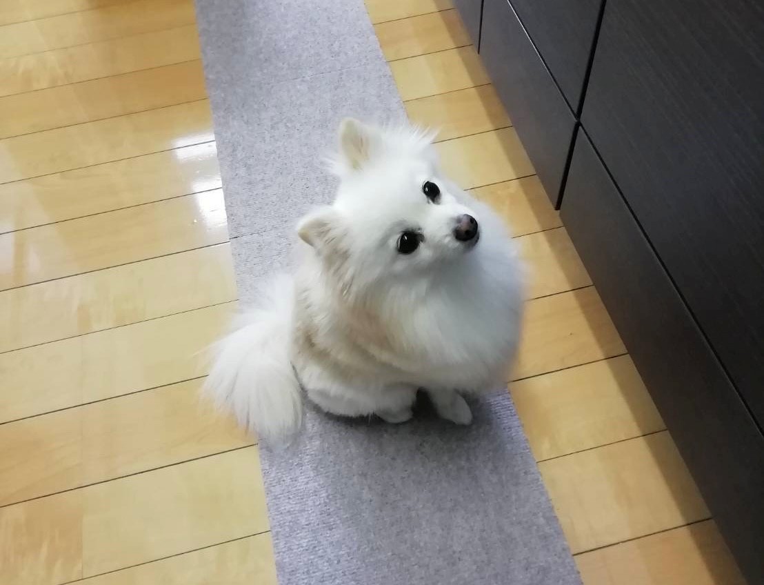 季節の変わり目💉