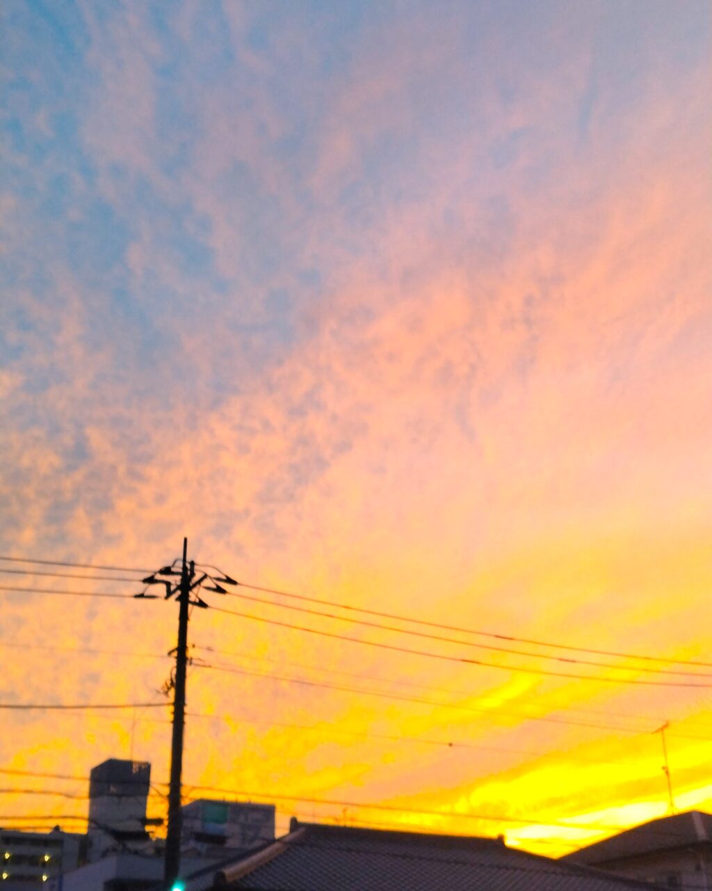 🌤秋の空模様🌧
