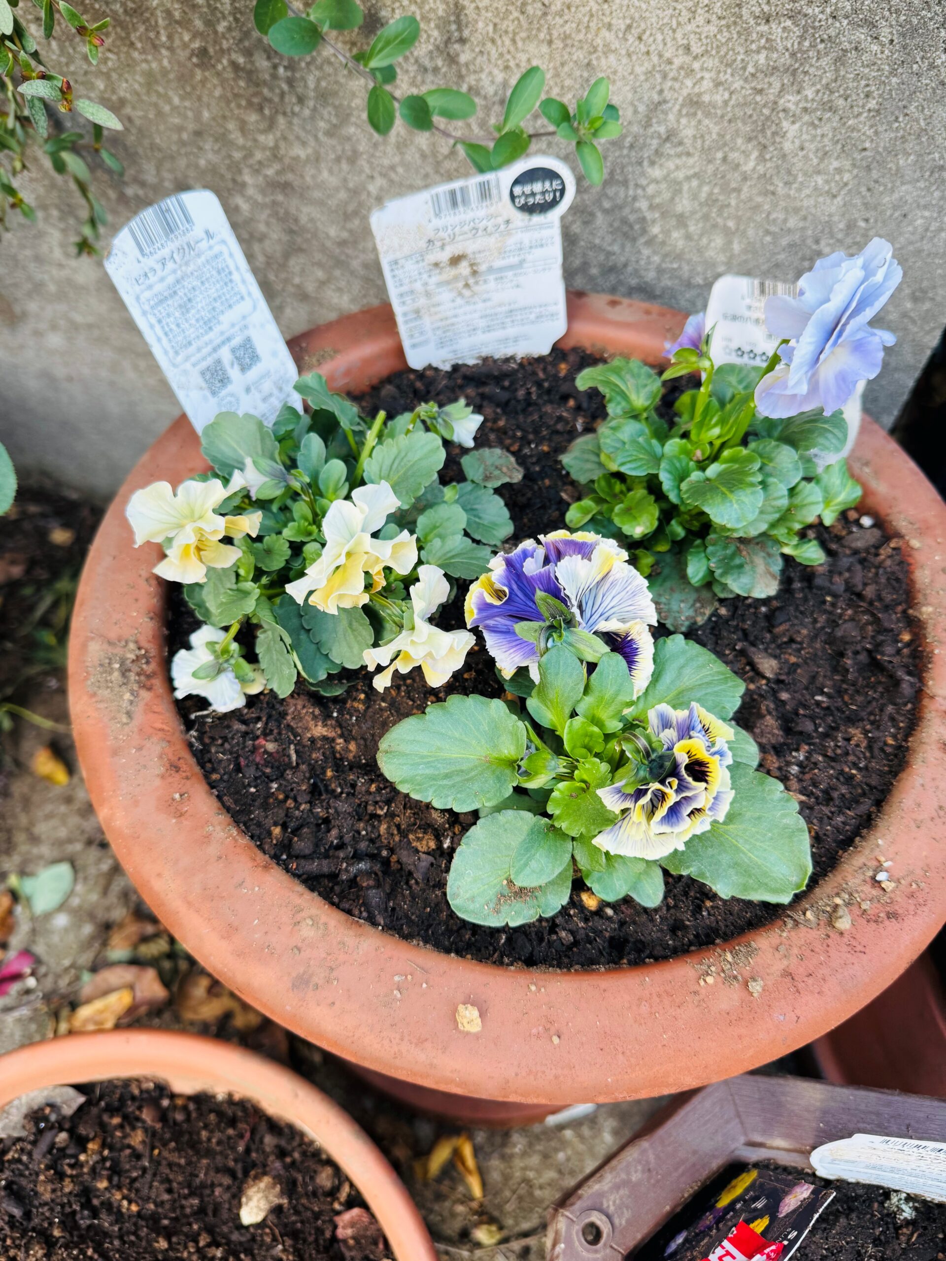 🌷準備はできましたか？🌷